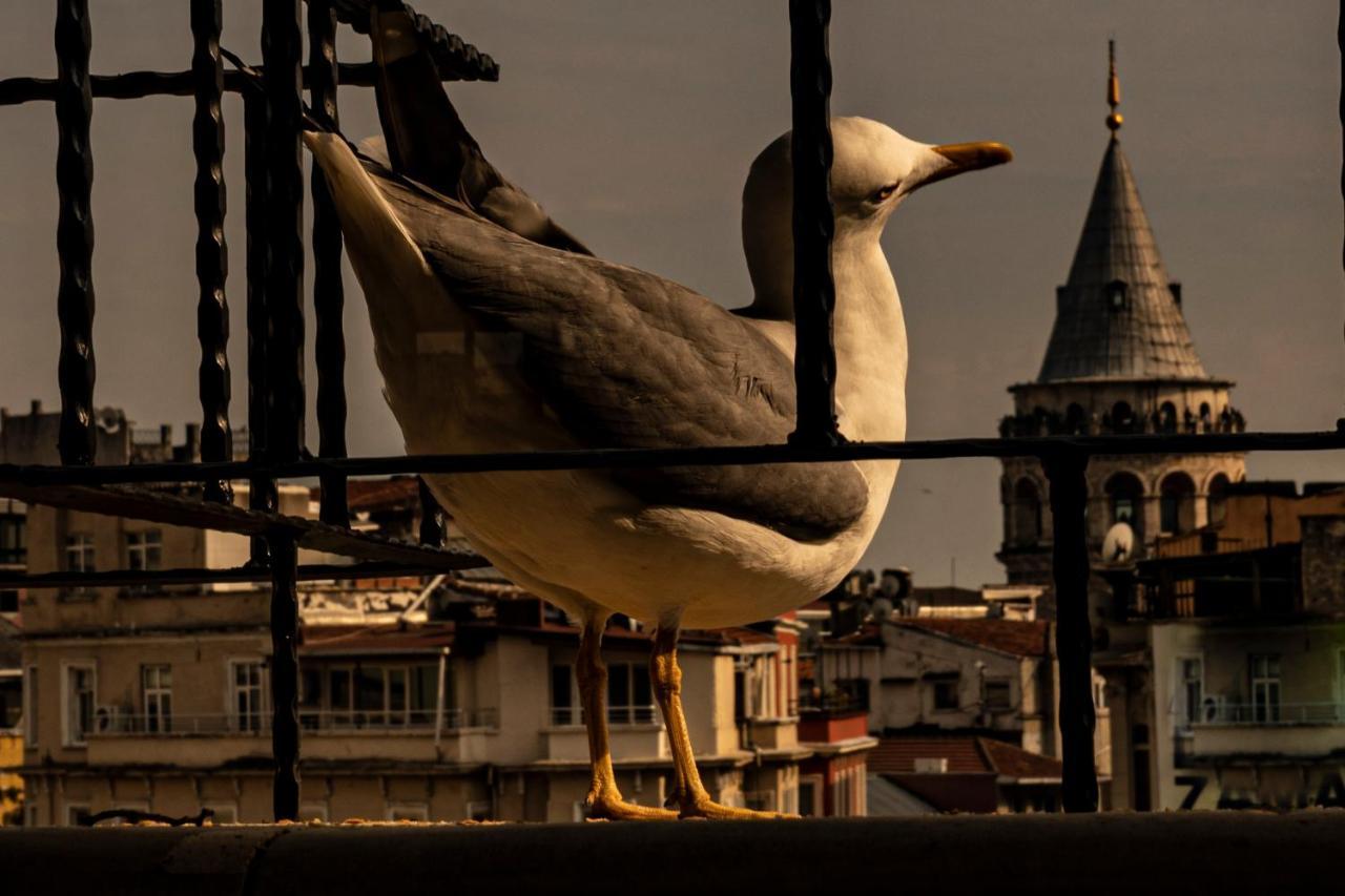 Апарт отель Galata M84 Стамбул Экстерьер фото